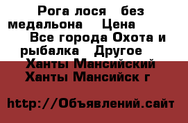 Рога лося , без медальона. › Цена ­ 15 000 - Все города Охота и рыбалка » Другое   . Ханты-Мансийский,Ханты-Мансийск г.